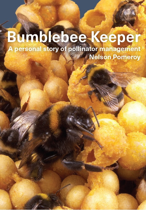 bumblebees in nest cover picture