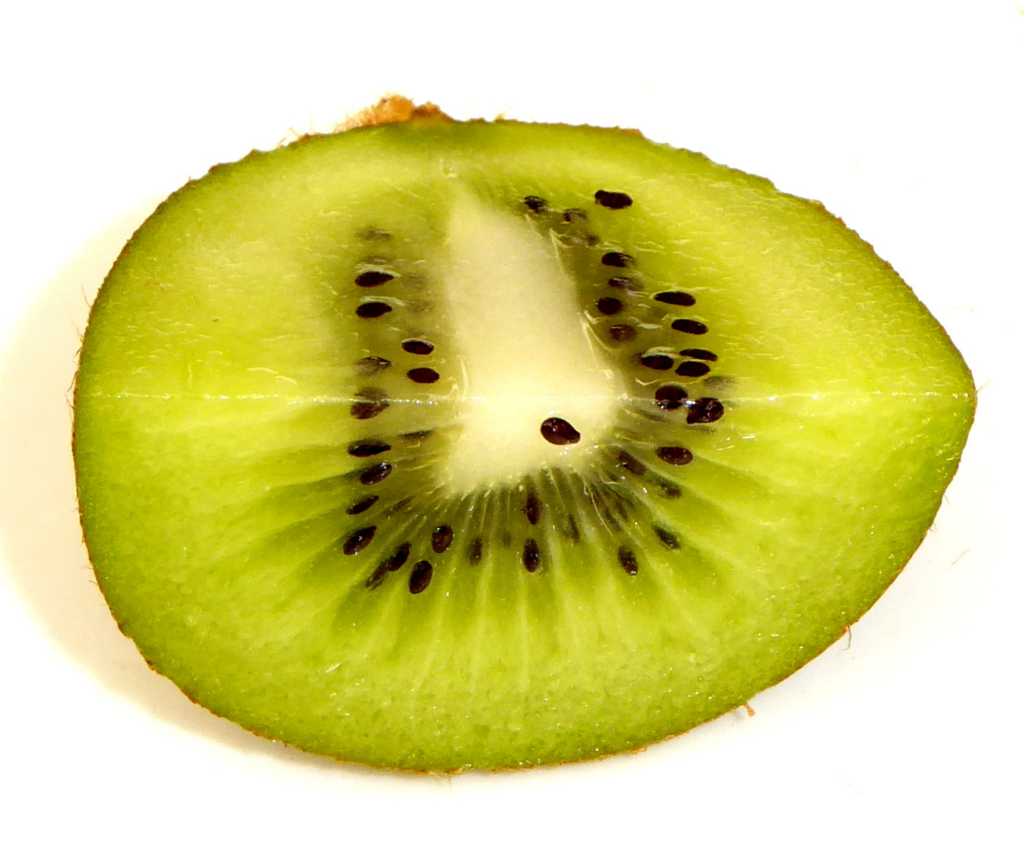 kiwi fruit cross section